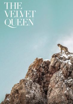 The Velvet Queen
