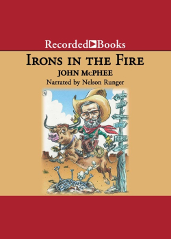 Irons in the Fire