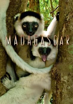 Madagascar