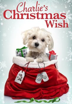 Charlie's Christmas Wish