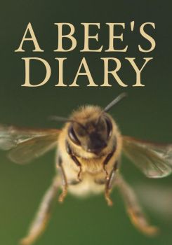 A Bee's Diary