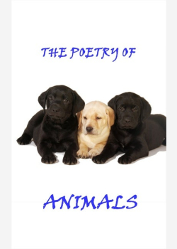 Animal Poetry