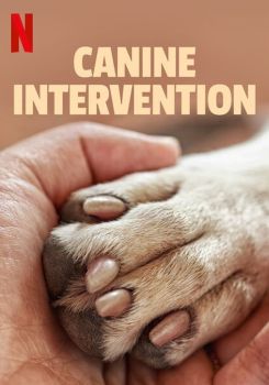 Cali K9: Köpek Terapistleri