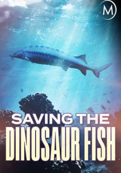 Saving the Dinosaur Fish