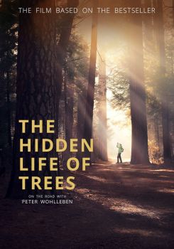 The Hidden Life of Trees