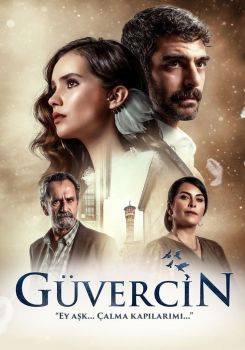 Güvercin