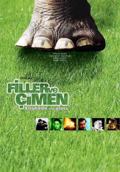 Filler ve Çimen