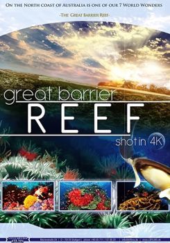 The Great Barrier Reef