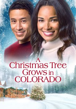 A Christmas Tree Grows in Colorado