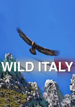 Wild Italy