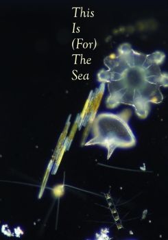 This Is (For) The Sea