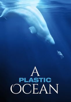 Plastik Okyanus