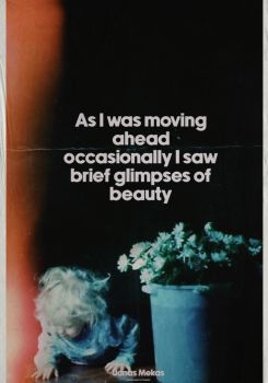 As I Was Moving Ahead, Occasionally I Saw Brief Glimpses of Beauty