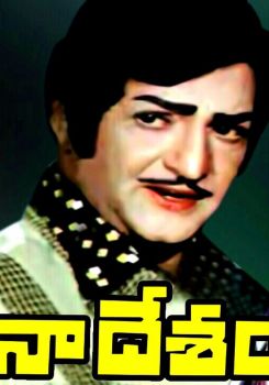 Naa Desam