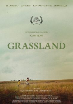 Grassland