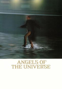 Angels of the Universe