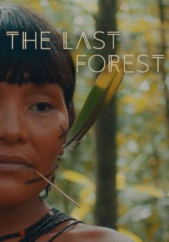 The Last Forest