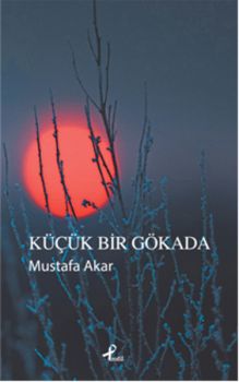 Küçük Bir Gökada