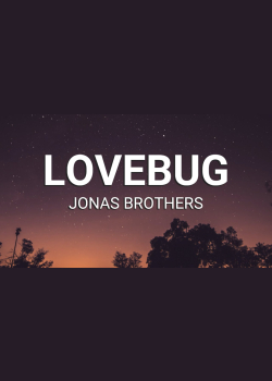 Jonas Brothers - Lovebug (Lyrics)