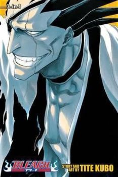 Bleach (3-in-1 Edition) Vol. 5 : Includes vols. 13 14 & 15 : 5