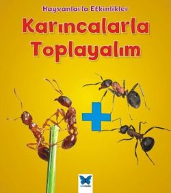Karıncalarla Toplayalım-Hayvanlarla Etkinlikler