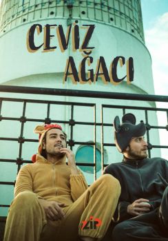 Ceviz Ağacı