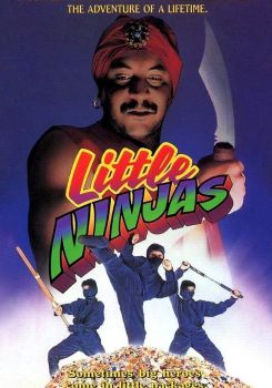 Little Ninjas