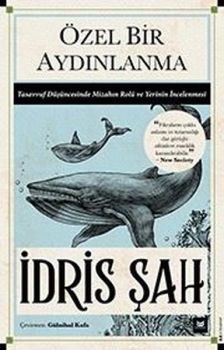 Özel Bir Aydınlanma - Tasavvuf Düşüncesinde Mizahın Rolü ve Yerinin İncelenmesi