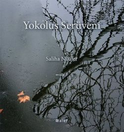 Yokoluş Serüveni