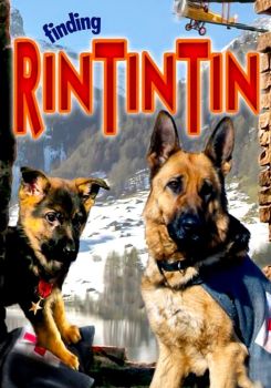 Rin Tin Tin