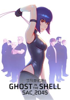 Ghost in the Shell: SAC_2045