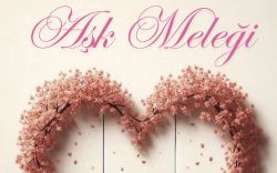 Aşk Meleği