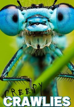 Creepy Crawlies