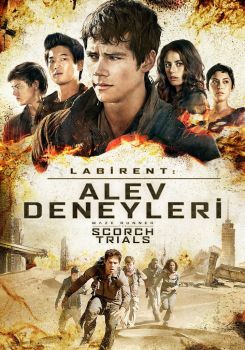 Labirent: Alev Deneyleri