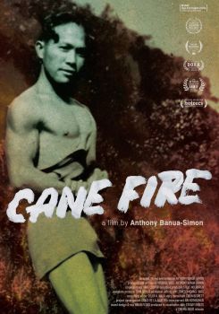 Cane Fire