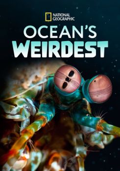 Ocean's Weirdest