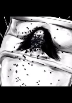 A Spider Dream