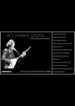 Ali Ekber Çiçek - El Vurup Yaremi İncitme Tabip (Official Lyric Video)