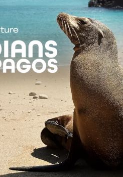 Guardians of the Galapagos