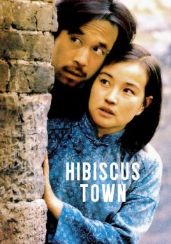 Hibiscus Town