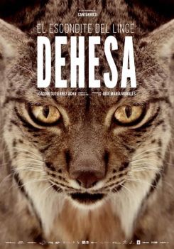 Dehesa - Forest of the Iberian Lynx
