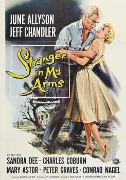 A Stranger in My Arms