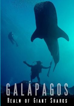 Galapagos Realm Of Giant Sharks