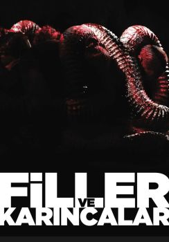 Filler ve Karıncalar