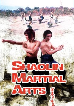 Shaolin Martial Arts