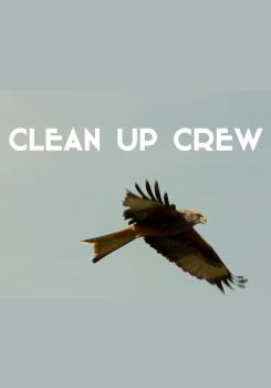 Clean Up Crew