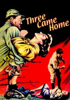 Three Came Home