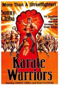 Karate Warriors