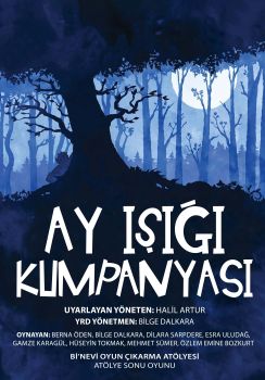 Ay Işığı Kumpanyası