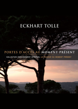 Portes d'accès au moment présent: Portes d'accès au moment présent
